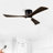 52" Ceiling Fan With Lights Remote Control-1055599616