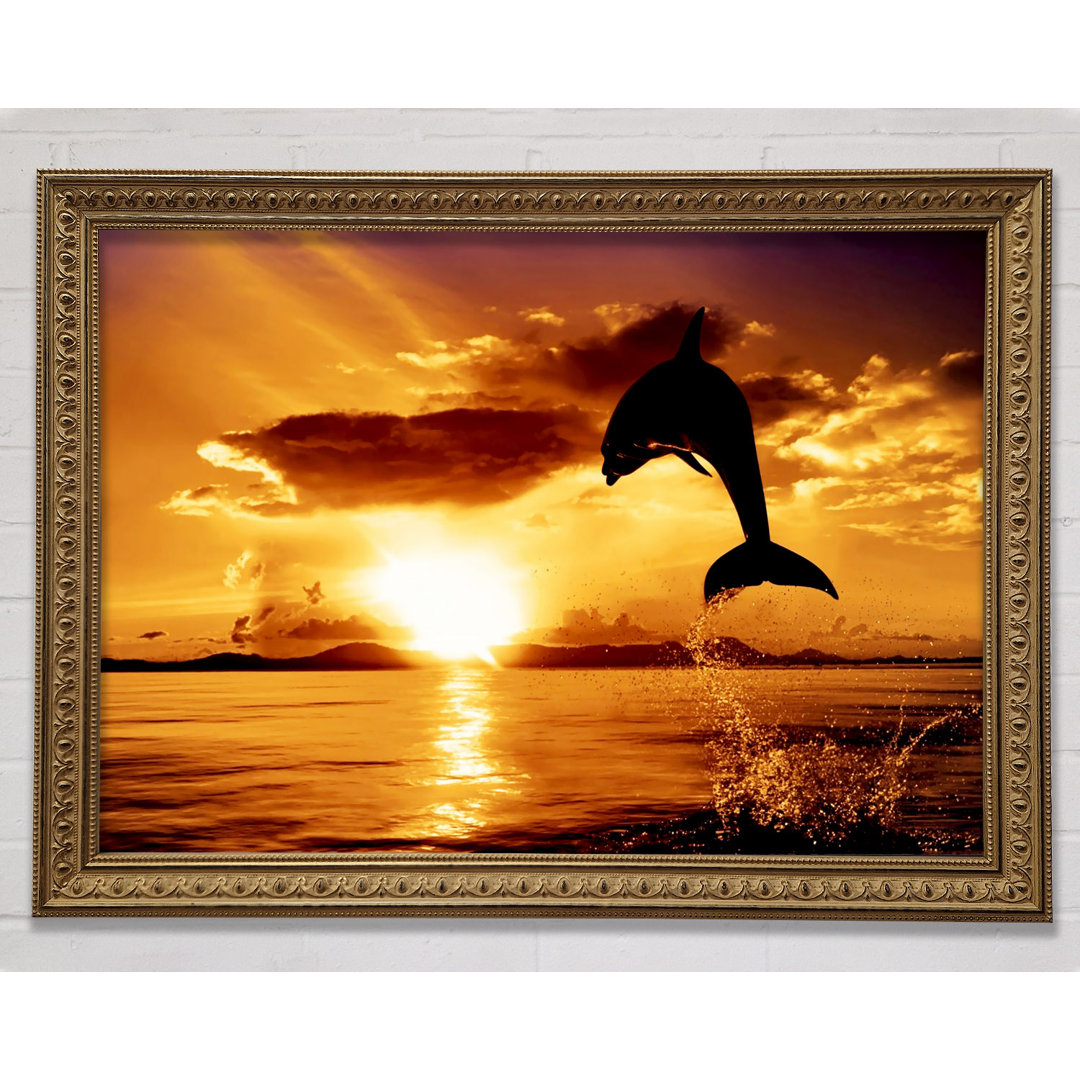 Gerahmtes Bild Dolphin Sunset