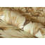 Tropical Collection Somoa Inspired Tropical Leaves 27.8' L x 27.5" W Wallpaper Roll-73448006