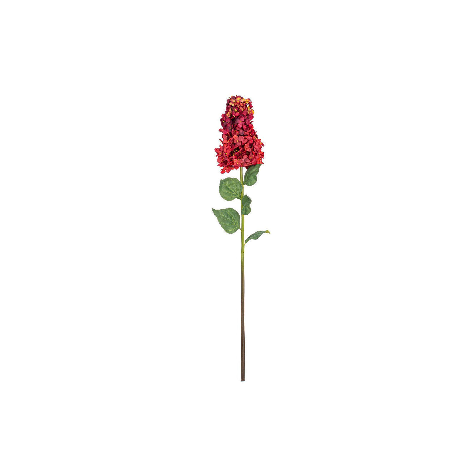Hydrangea Stem, Burgundy