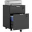 42cm Wide 2 -Drawer File Cabinet-1163800322