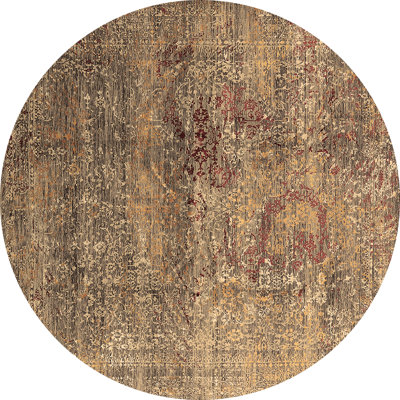 Draylee Oriental Indoor Rug