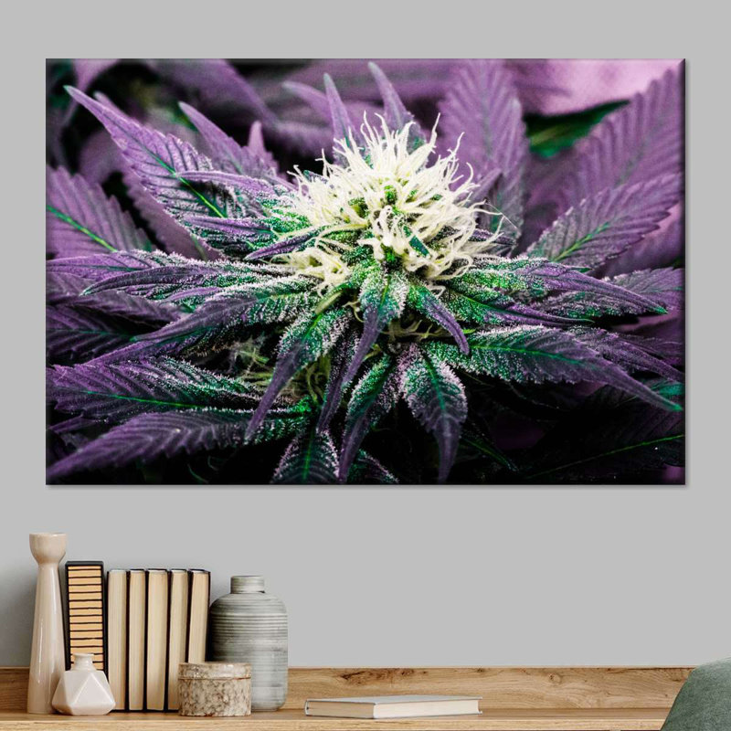 Rare cannabique, reproduction sur toile, H 30 po x l 45 po x P 1,25 po