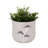 Handcrafted Cement Planter with Textured Tree Trunk Design and Mushroom Accents - Decorative Pot for Indoor and Outdoor Spaces.-108204338