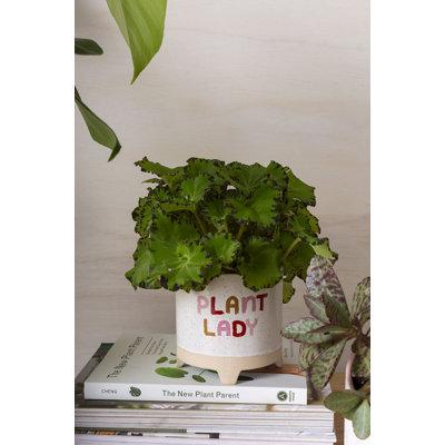 Plant Luv Pot 4.5 "