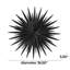 Décoration murale noire en métal à grandes couches 3D Sunburst-1063805626