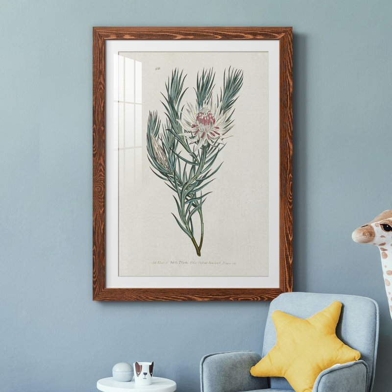 Protea N33 - Peinture encadrée, H 37,5 po x l 27,5 po x P 1,5 po, Érable