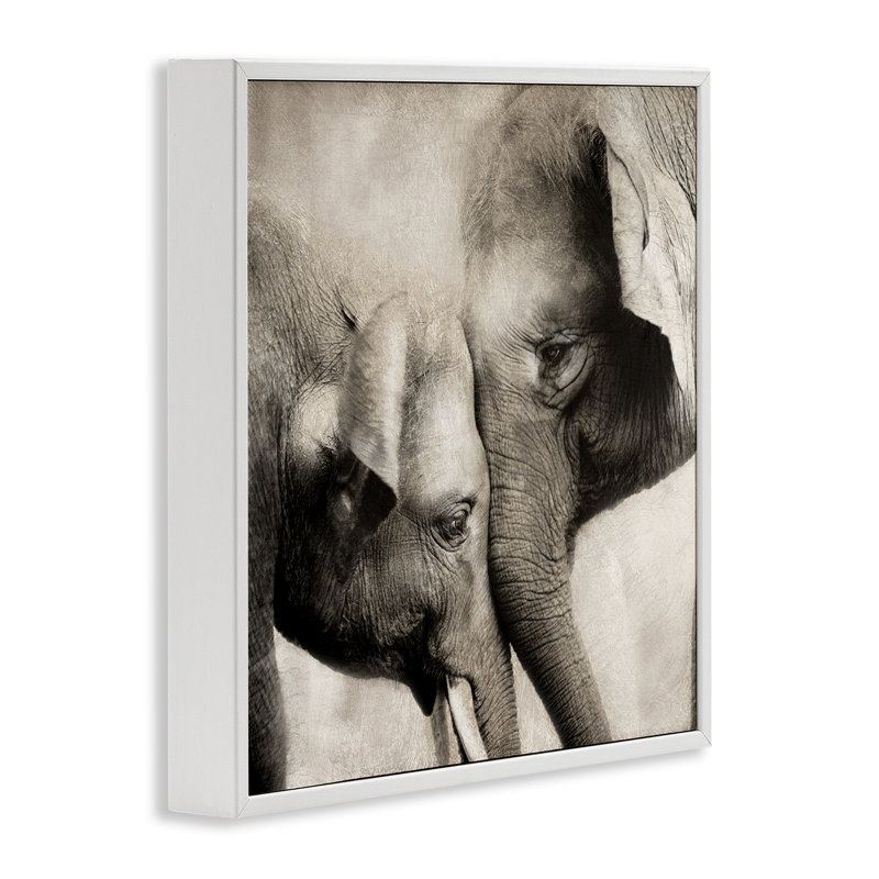 «Elephant & Baby Hug», estampe numérique, conception de CAD Designs, H 17 po x l 17 po, Giclée encadrée blanc bord de mer