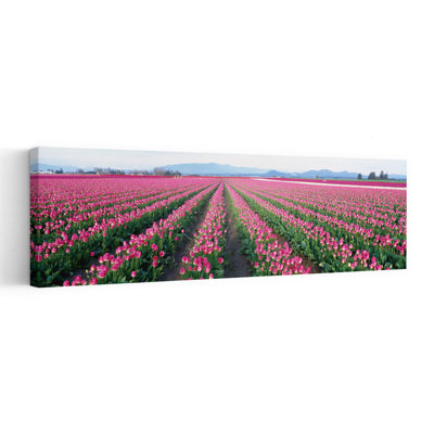 Tulip Fields, Skagit County, Washington State, Usa Colorful Abstract Contemporary Tulip Flower Landscape Wall Art