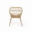 Chaise Harlem