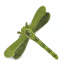 Dragonfly Green Napkin Ring