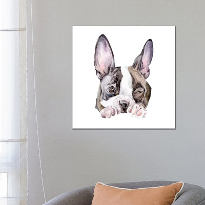 Winking Boston Terrier 1 Piece Wrapped Canvas Painting