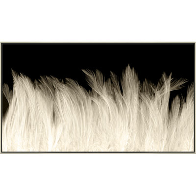 Beach Feathers Giclee On Canvas