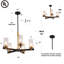 Marrina 5-Light Classic Gold Chandelier with Seeded Glass Shades