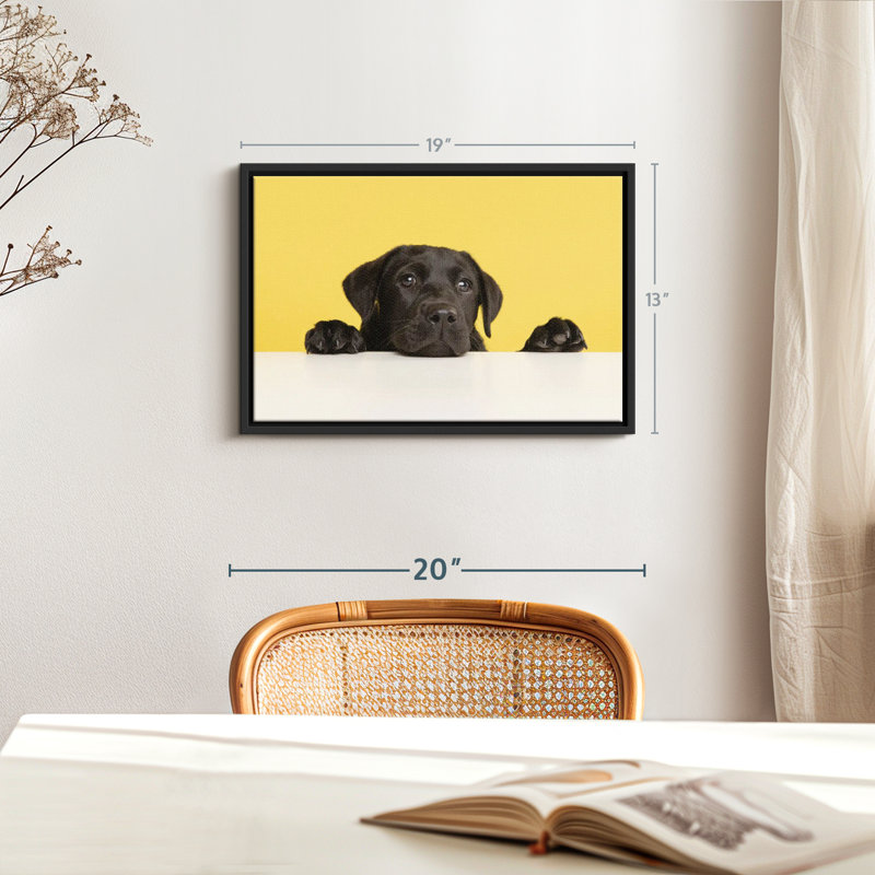 Adorable impression sur toile de laboratoire noir, H 13 po x l 19 po