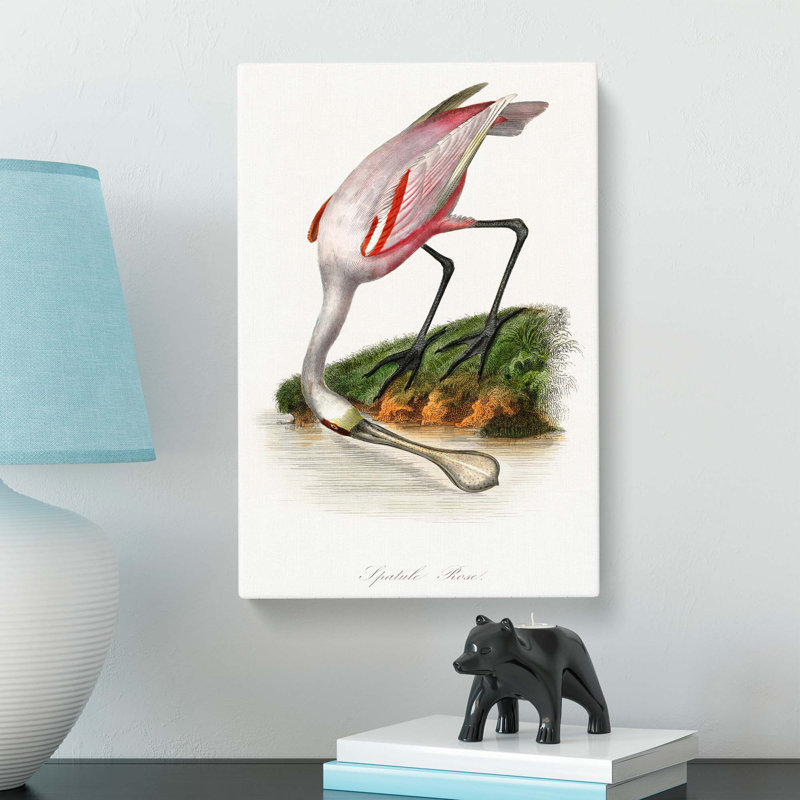 Roseate Spoonbill Bird - Wrapped Canvas, 60cm H x 40cm W x 3cm D
