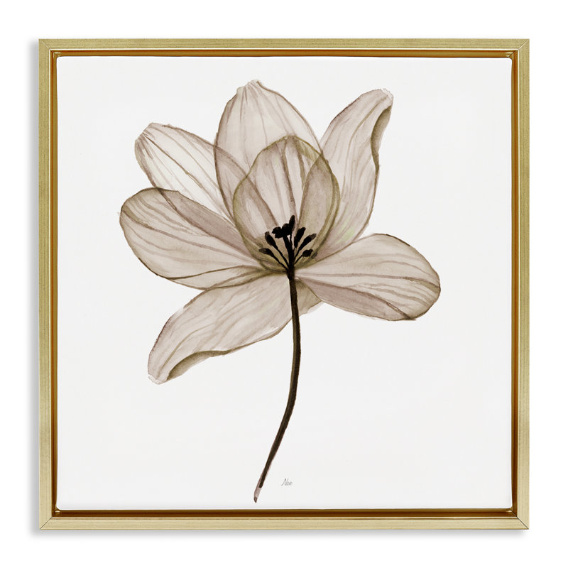 «Beige Opaque Flower Floater», art mural sur toile par Nan, Cadre flottant métallique doré, H 25 po x l 25 po