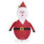 Indoor / Outdoor Holiday Lighting-243924010