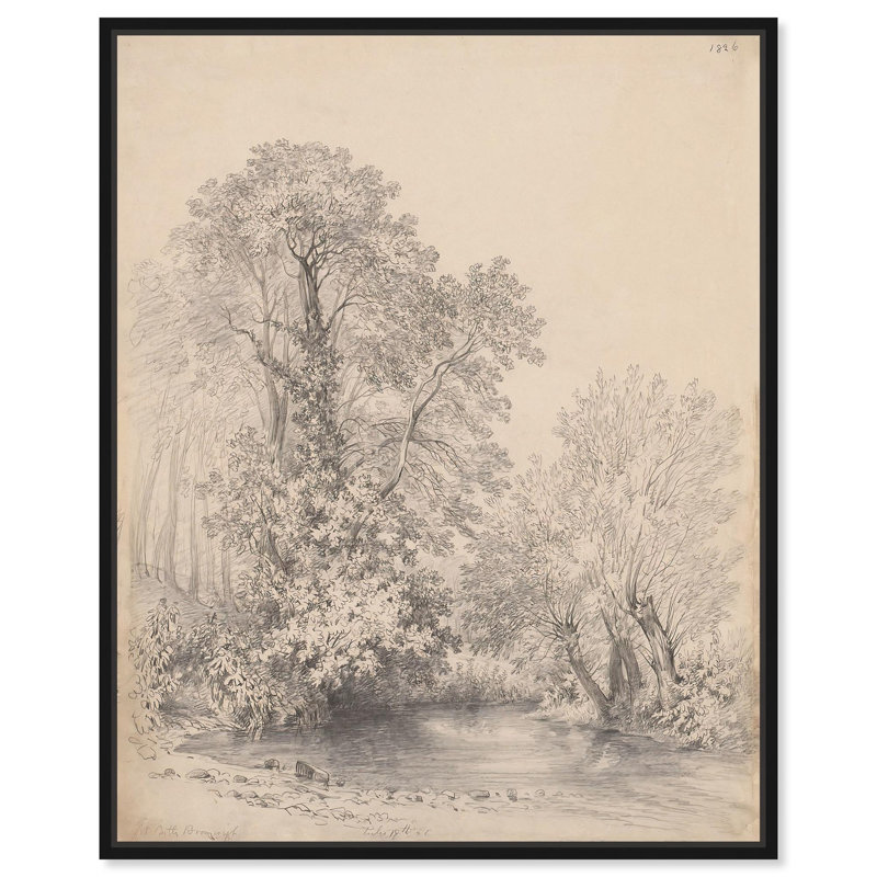 Trees by the River at Castle , H 21 po x l 17 po, Cadre flottant noir