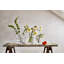 Anemone Vase, Medium-71179471