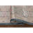 Traditional Oriental Area Rug 7x10