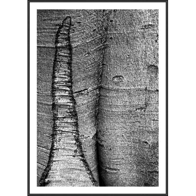 Single Picture Frame Print