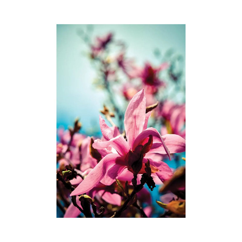 Silver Lining by Olivia Joy StClaire - Wrapped Canvas Print, 66.04cm H x 45.72cm W x 1.91cm D