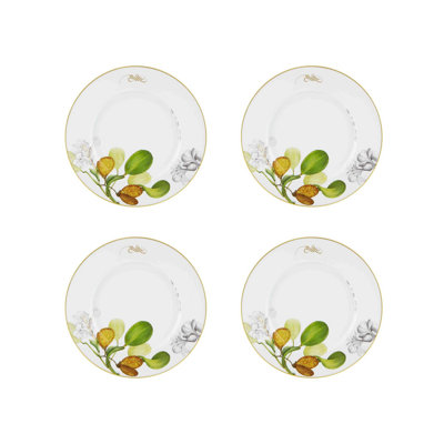 Amazōnia Porcelain Dinner Plate
