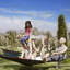 Hammock