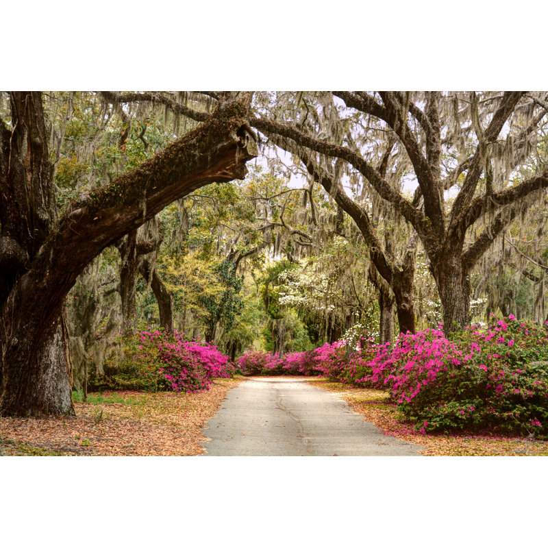 Roadside Flowers by Jeffrey Schreier - Wrapped Canvas Print, 81cm H x 122cm W x 3.8cm D