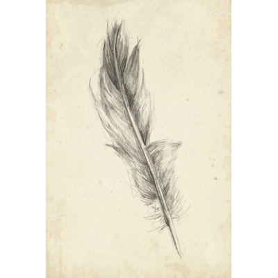Feather Sketch IV by Ethan Harper - Wrapped Canvas Print