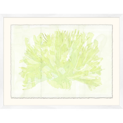 Horizontal Ocean Seagrass 2 Print
