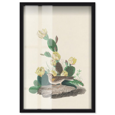 Reproduction d'art botanique Prickly Pear Perch Shadowbox par Art Remedy