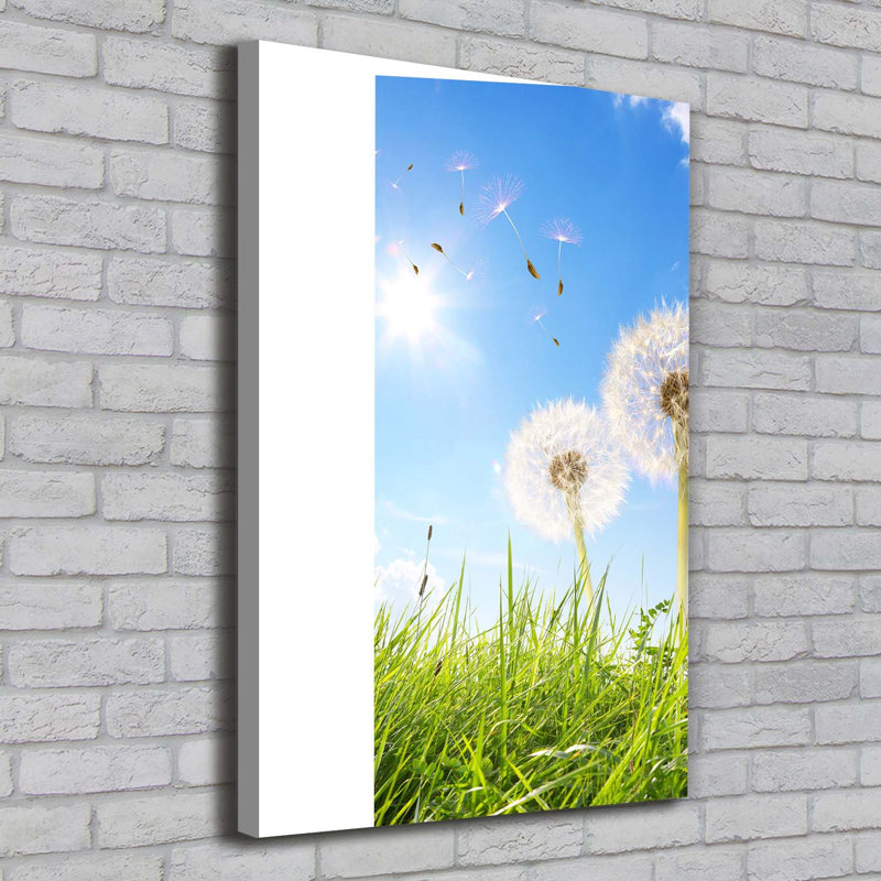 Dandelions In The Meadow - Wrapped Canvas Print