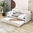 Basiliki Twin Size Upholstered Daybed with Trundle and USB Charging Design-1576478543