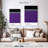Sireci Sacramento Kings-108479091