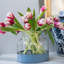 3-in-1 Glass Bloom Vase-1909190253