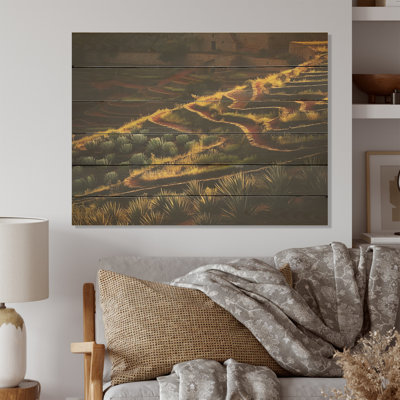 Succulent Sunset Field In Texas I - Succulent Wood Art sur bois de pin naturel
