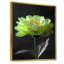 Vert, noir, jardin, glamour, souci, art mural-110988566-110988783