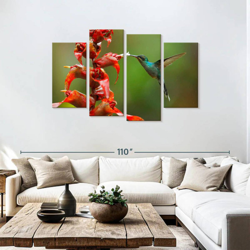 Collation de fleurs de colibri Brampt
