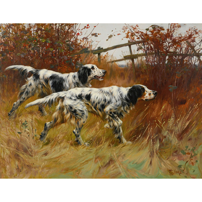 English Setters