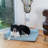 Coussin de lit Armarkat D08B-56837799