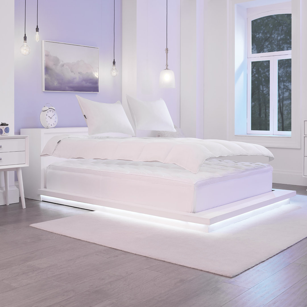 Twin All Season Polyester Down Alternative Comforter Keeco