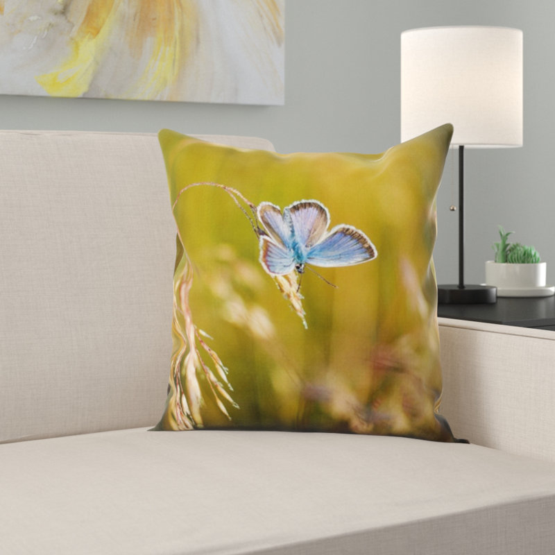 Housse et insert de coussin carré papillon