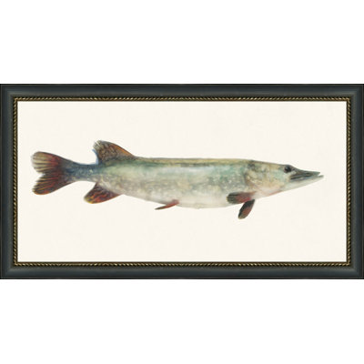 Fresh Catch 5 Print