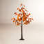 Maple Tree-819689962
