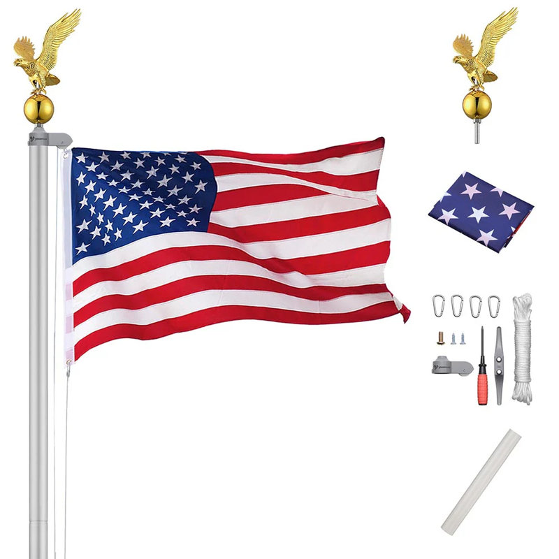 Ensemble de poteau modulaire et drapeau 20 'avec aigle royal, Argent argent