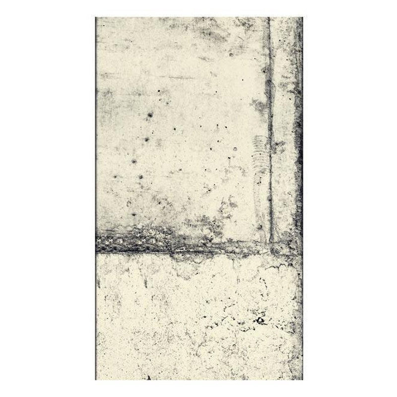 Rouleau de papier peint L 32,8 pi x l 19 po Le charme du béton, Beige