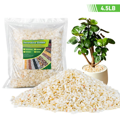 1/5 Inch Natural Decorative Pea Gravel Rocks