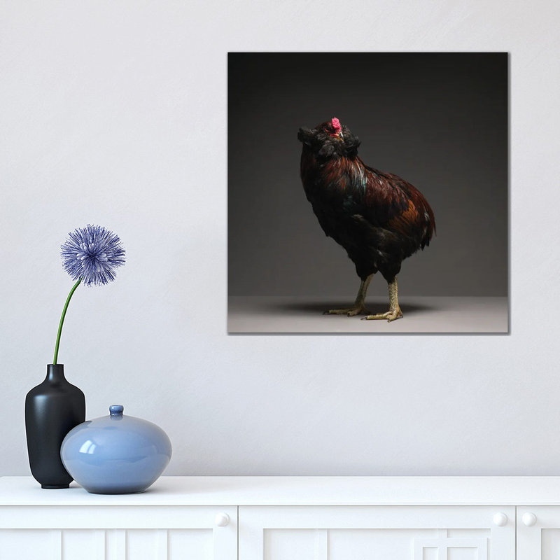 Araucana - Wrapped Canvas Print, 45.72 cm H x 45.72 cm W x 1.91 cm D